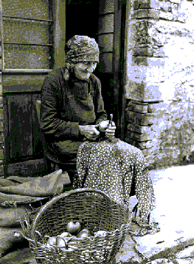 Attivazione Progetto di Servizio Civile rivolto agli Anziani,