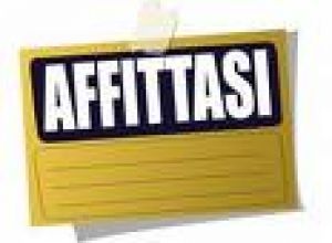 Contributi fitti 2009