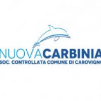 Nuova Carbinia S.u.r.l. - Società di Servizi Strumentali