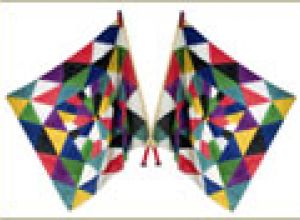 Le bandiere della Nzegna