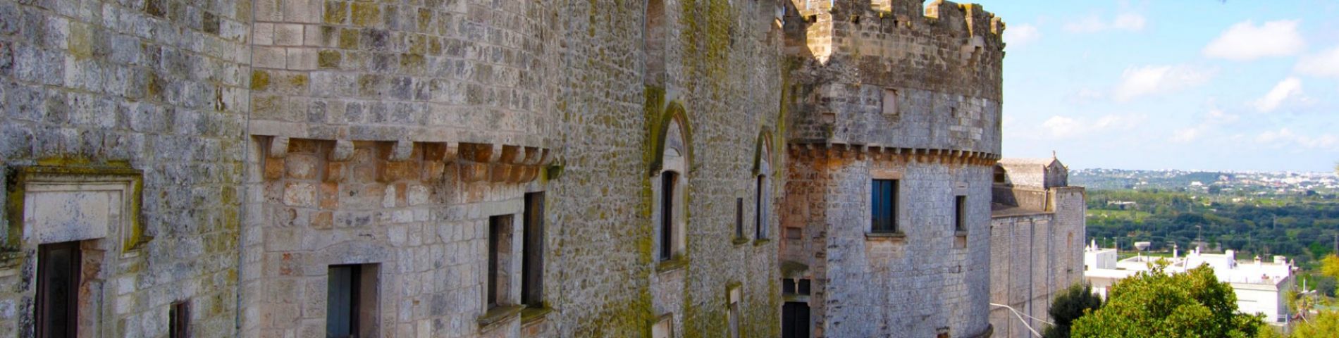 Veduta esterna Castello