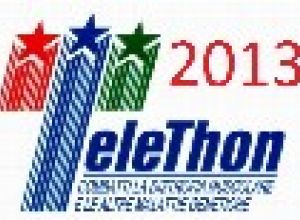 Telethon 2013