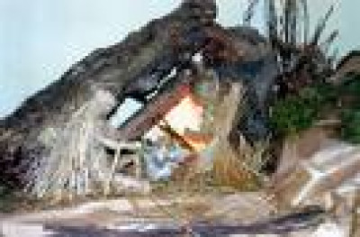 IL PRESEPE PER L'EDUCAZIONE ALLA PACE E PER LA TUTELA DELLE IDENTIT&agrave;&e...