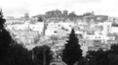 Aiuti regionali a chi coltiva biologicamente