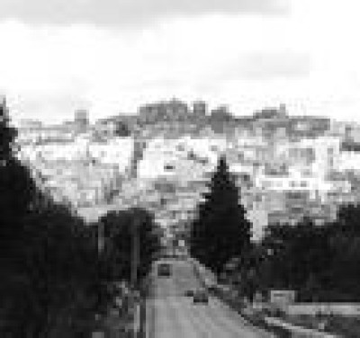 Aiuti regionali a chi coltiva biologicamente