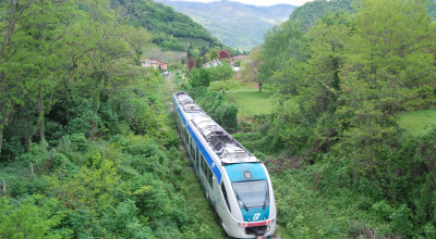 ORDINANZA n. 58 del 17/06/2021 - Eliminazione dei fattori di rischio derivant...