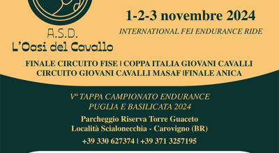 Endurance Puglia Experience - International FEI Endurance Ride - La magia del...