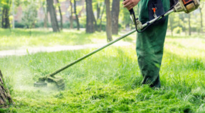 Ordinanza per la pulizia e manutenzione dei terreni privati in ambito urbano ...