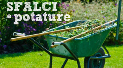 Avviso raccolta sfalci e potature