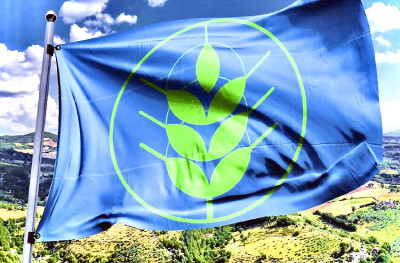 Riconoscimento Spighe Verdi 2022