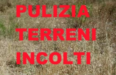 ORDINANZA n. 59 del 17/06/2021 - Pulizia e manutenzione dei terreni privati i...