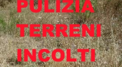 ORDINANZA n. 59 del 17/06/2021 - Pulizia e manutenzione dei terreni privati i...