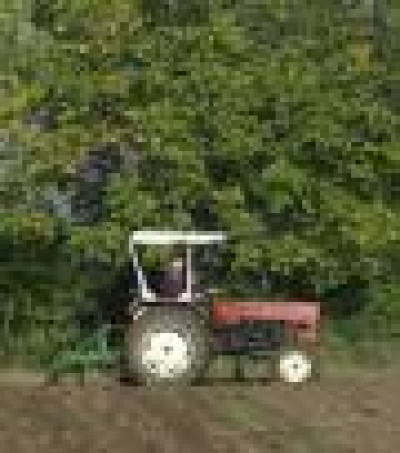 Credito D' imposta ai giovani agricoltori