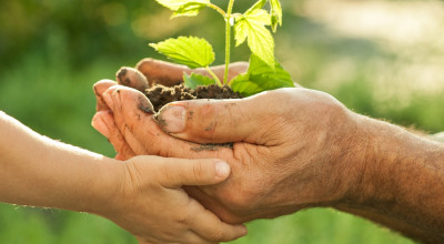 PSR 2014-2020 n. 50 del 01/04/2016 - Misura 11 - Sottomisure 11.1 e 11.2 - Di...