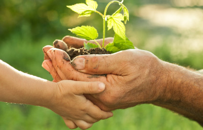 PSR 2014-2020 n. 50 del 01/04/2016 - Misura 11 - Sottomisure 11.1 e 11.2 - Di...