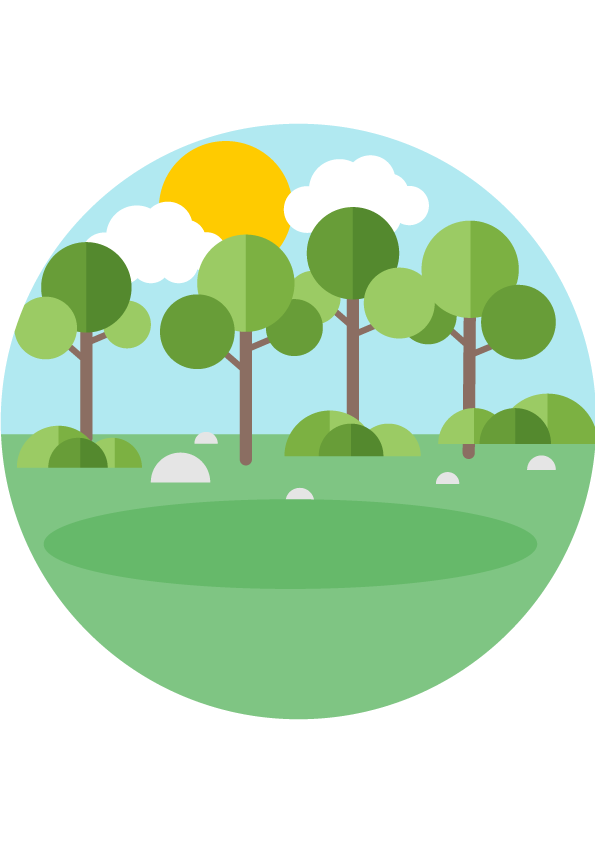 Raccolta rifiuti urbani