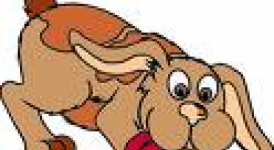 Ordinanza del Sindaco - Deiezione cani