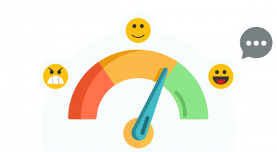 Programma di Customer Satisfaction del Comune di Carovigno &ndash; Anno 2022