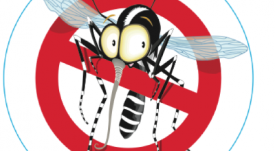 Calendario delle attivit&agrave; di disinfestazione contro le zanzare sul ter...