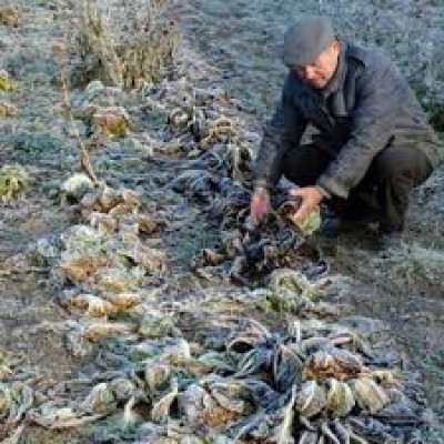 RICHIESTA BENEFICI PER CALAMITA' ATMOSFERICA