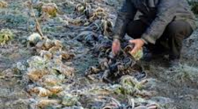 RICHIESTA BENEFICI PER CALAMITA' ATMOSFERICA