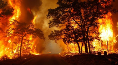 Dichiarazione dello stato di grave pericolosit&agrave; per gli incendi boschi...