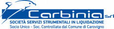 Carbinia S.r.l. &ndash; Societ&agrave; di Servizi Strumentali in Liquidazione