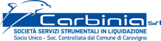 Carbinia S.r.l. &ndash; Societ&agrave; di Servizi Strumentali in Liquidazione